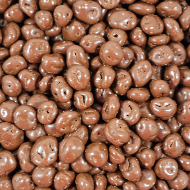 Jumbo Suklaarusina