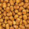 Kolakastanja