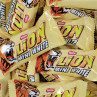 Lion White